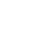 Logo Icon